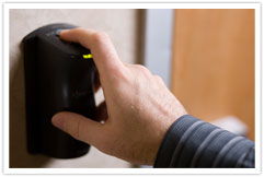 Bio-Metric Scan